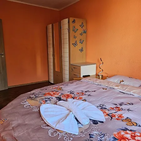 Anddia Central Apartment-2